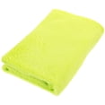 thumbnail image 1 of Preciosa manta de franela polar para mascotas, acogedora toalla de color liso (verde fruta), 1 of 5