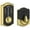 Polished Brass, variant on BE375CAM609 12-321 10-116 Camelot Touch Keyless Deadbolt - Antique Brass