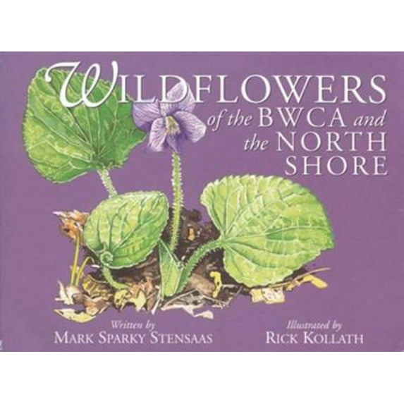 Pre-Owned Wildflowers of the BWCA and the North Shore (Paperback) 9780967379333