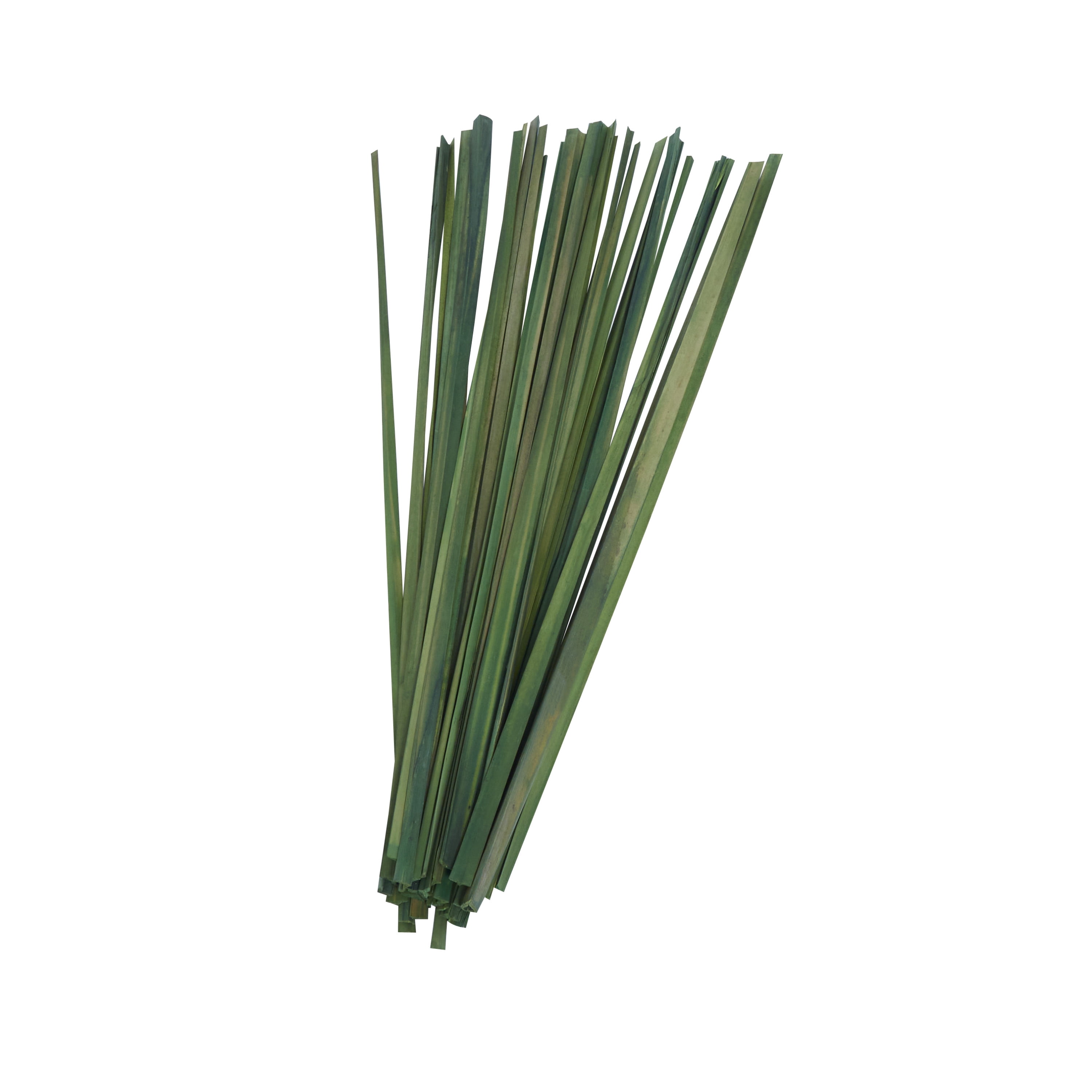 39" Dried Plant Natural Foliage Sticks Bouquet with Slender Stems, by DecMode