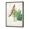 thumbnail image 3 of Designart 'Ancient Botanicals IX' Farmhouse Framed Canvas Wall Art Print, 3 of 5