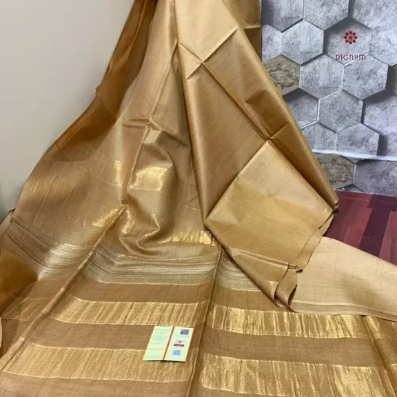 Tortilla Brown Pure Tussar by Ghicha Staple Saree