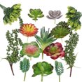 thumbnail image 1 of Inteprter Accesorios para fotos microsuculentas Plantas simuladas Multifuncional Artificial Realista Decoraciones de bonsái de buen aspecto SET0824 Flores artificiales ES0825 Inteprter HA060204-03B, 1 of 6