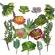 thumbnail image 1 of Ounissouiy Suculentas falsas, accesorios para fotos, plantas decorativas simuladas, bonsái, decoraciones para el hogar, patios, césped, maceta, SET0836 Flores artificiales ES0825 Ounissouiy HA060204-03B, 1 of 6