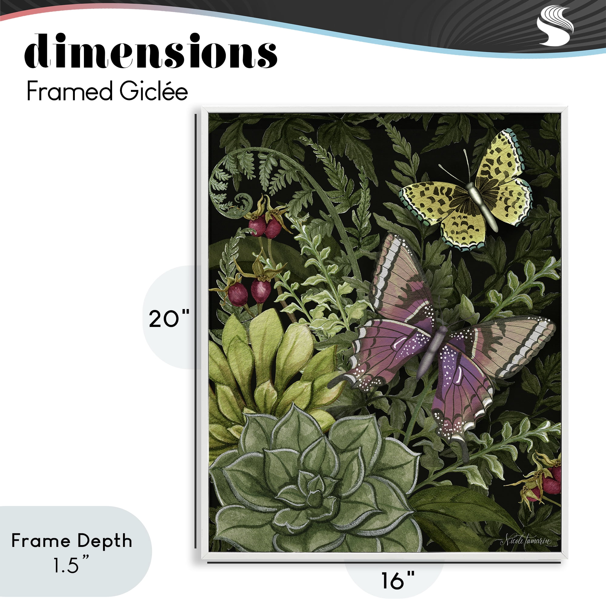 Stupell Industries Dark Succulents Midnight Garden White Framed Giclee Art, design by Nicole Tamarin