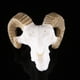 thumbnail image 2 of 2x Cráneo de animal de resina - Accesorios de decoración de acuarios y viveros no tóxicos para de mascotas Divertidos Fernando  Grandes decoraciones para acuarios, 2 of 8