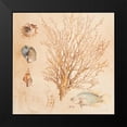 thumbnail image 2 of Loreth, Lanie 12x12 Black Modern Framed Museum Art Print Titled - Coral Medley II, 2 of 5