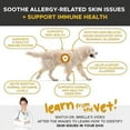 thumbnail image 2 of Pet Honesty Allergy Skin Health for Dogs, Duck Flavor, 90 Count Chews, 2 of 5
