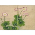 thumbnail image 3 of Zhang Ruoai 24x18 Black Modern Framed Museum Art Print Titled - Mallow Flowers (18th Century), 3 of 5