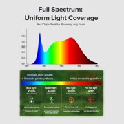 SANSI LED Grow Light Bulb 24W, A21 Full Spectrum Grow Bulb for Indoor Plants, Ceramic Tech Grow Lamp with Optical Lens for High PPFD, Seed Starting, Growing, Blooming and Fruiting