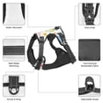 thumbnail image 6 of Gaeub Easter Egg3 Gaeub Easter Egg3 No Pull Dog Harness, Secure and Adjustable Pet Vest for Outdoor Activities - Large, 6 of 8