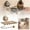 B, variant on Wall Mounted Suction Cup Toilet Paper Holder with Walnut Perforation Design Household Bathroom Storage Rack Organizer