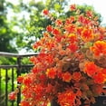 thumbnail image 2 of 12 Bundles Artificial Flowers for Outdoors, UV Resistant Fake Flowers with Plastic Plants, Faux Flowers for Outside Window Box Front Porch Hanging Planter Decor(Orange Red), 2 of 10
