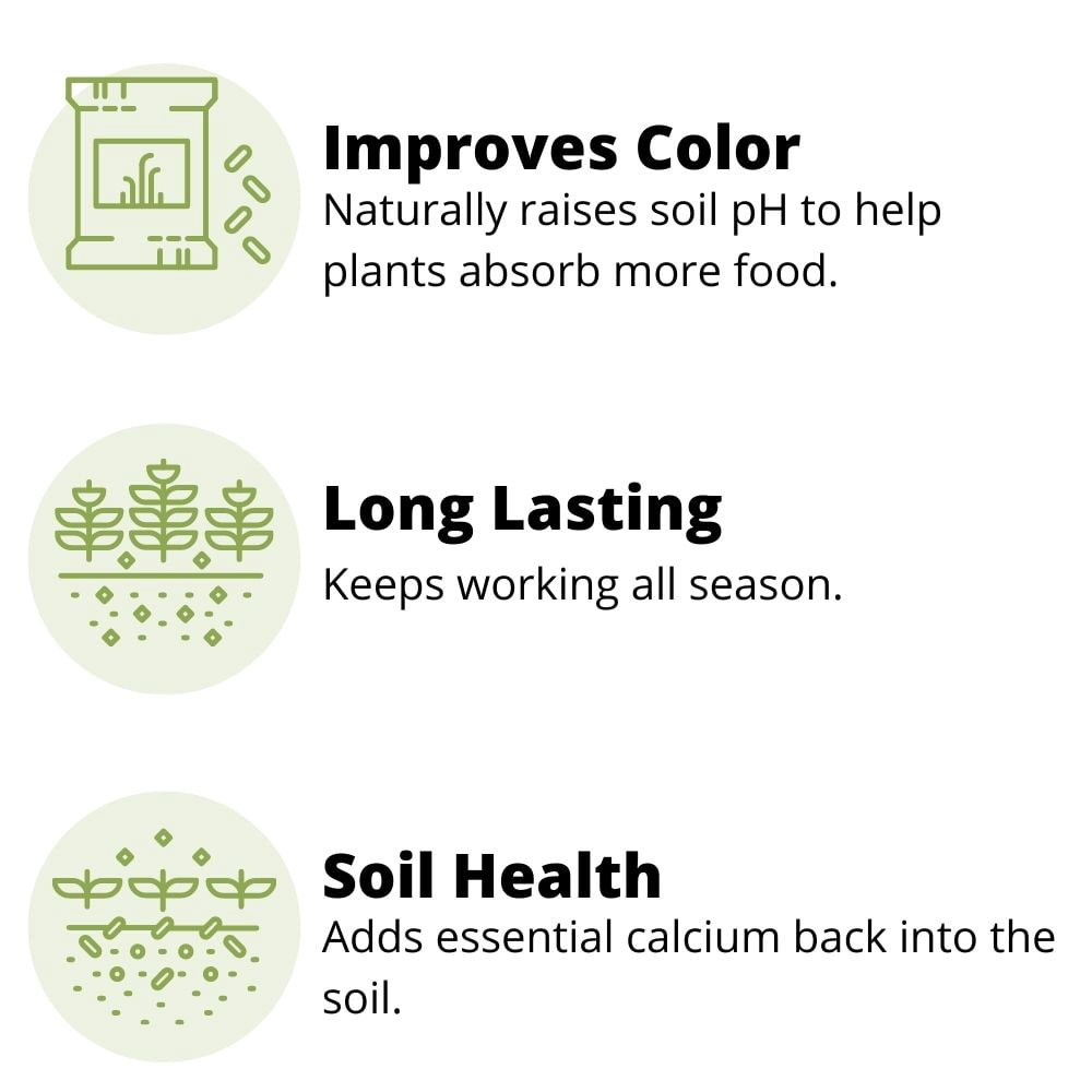 Earth Science Fast Acting Lime Granules, 2.5 lb, Rapidly Raises Soil pH, Improves Growth & Color, For Use On All Plants