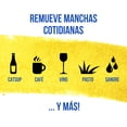thumbnail image 3 of Shout Triple Acci&oacute;n Quitamanchas L&iacute;quido para Telas, Kit Gal&oacute;n 3.78L y Atomizador 650ml, 3 of 6