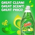 thumbnail image 4 of Gain Ultra Dishwashing Liquid, Original 21.6 oz (Pack of 2), 4 of 7