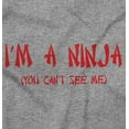 thumbnail image 2 of Im a Ninja You Cant See Me Fighter Men's Big & Tall Graphic Hoodie Brisco Brands 4X, 2 of 5
