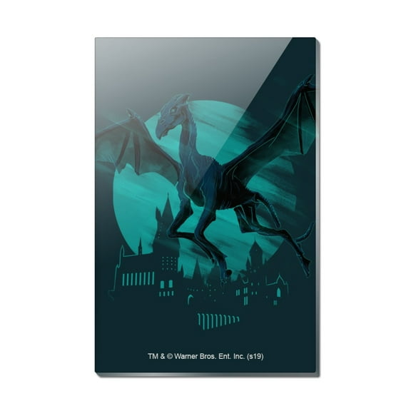 Harry Potter Thestral Rectangle Acrylic Fridge Refrigerator Magnet