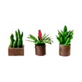 thumbnail image 1 of Maceta de Bonsái en Miniatura a Escala 1:64, Juguete de Jardín para Niños, Micropaisaje, Jardín de Hadas, Decoración de Resina para Casa de Muñecas. café, 1 of 9