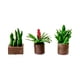 thumbnail image 1 of Maceta de bonsái en miniatura a escala 1:64, juguete de micropaisaje para jardín infantil, decoración de plantas en maceta para casa de muñecas de café, 1 of 10