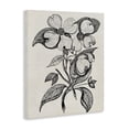 thumbnail image 2 of Stupell Industries Cottage Classic Cut of Dogwood Canvas Art, 30 x 40, by Karen Smith, 2 of 7