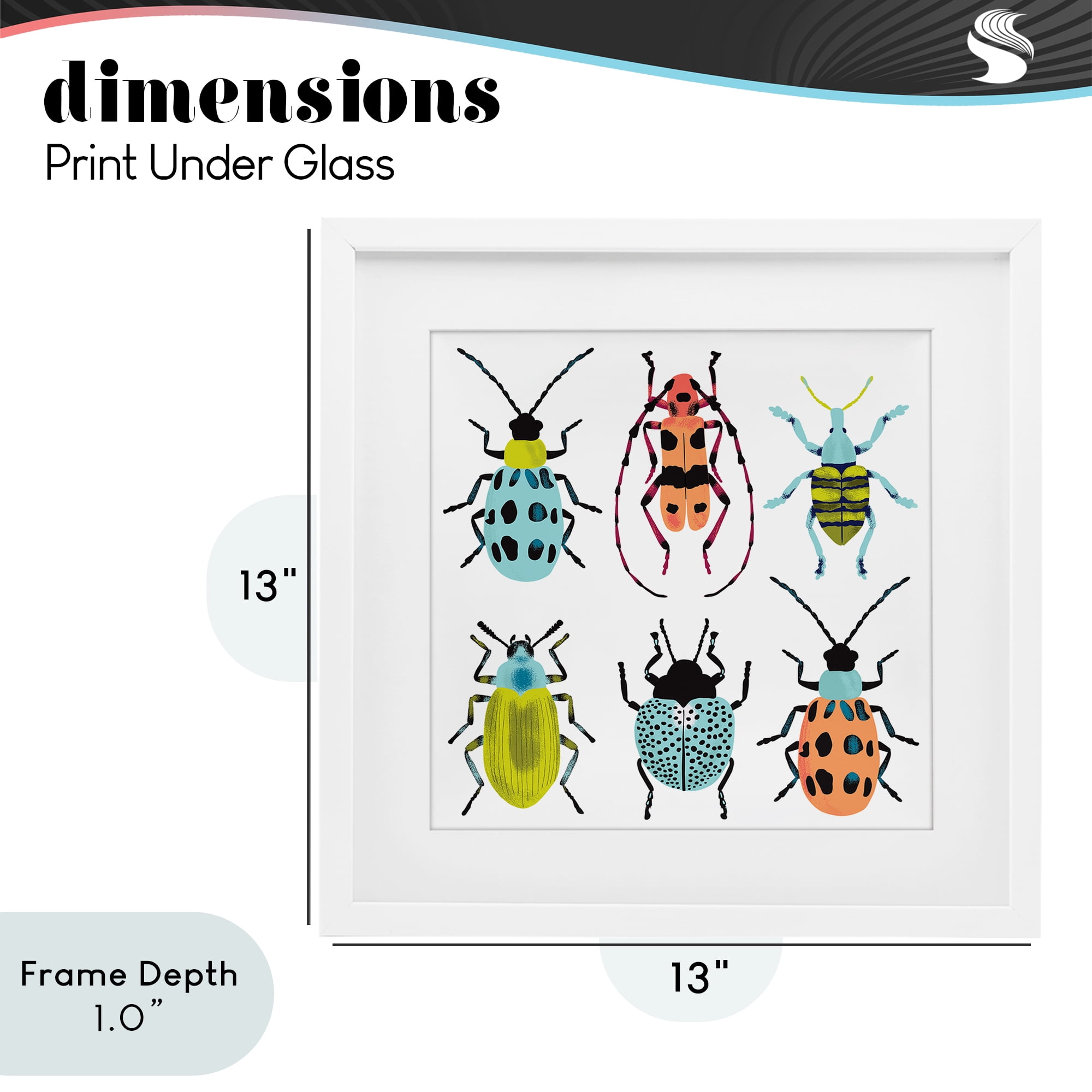 Stupell Industries Beetles & Bugs Collection White Framed Print Under Glass, design by Metka Hiti