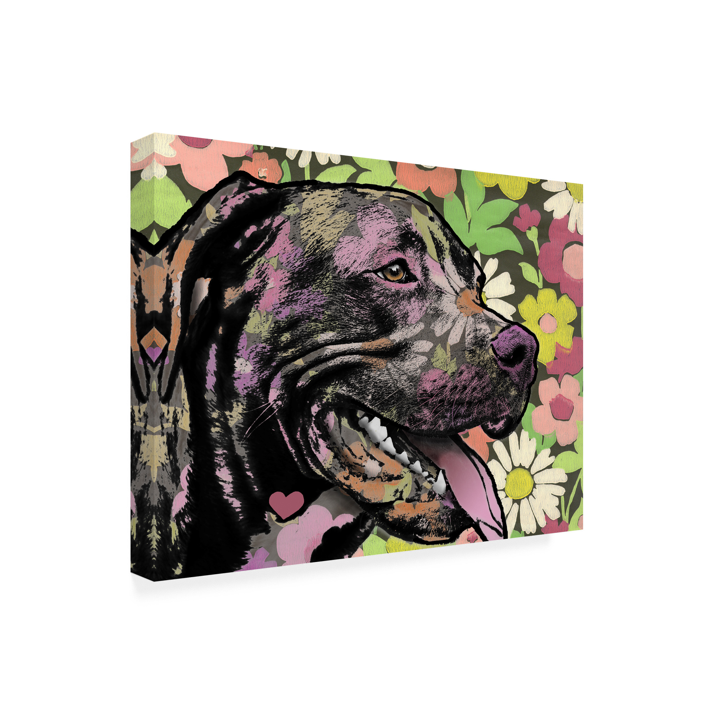 Canvas Wall Art - Dean Russo 'Out There' Wall Art for Living Room, Bedroom, or Office DÃ©cor by Trademark Fine Art - 19 x 14 Inches