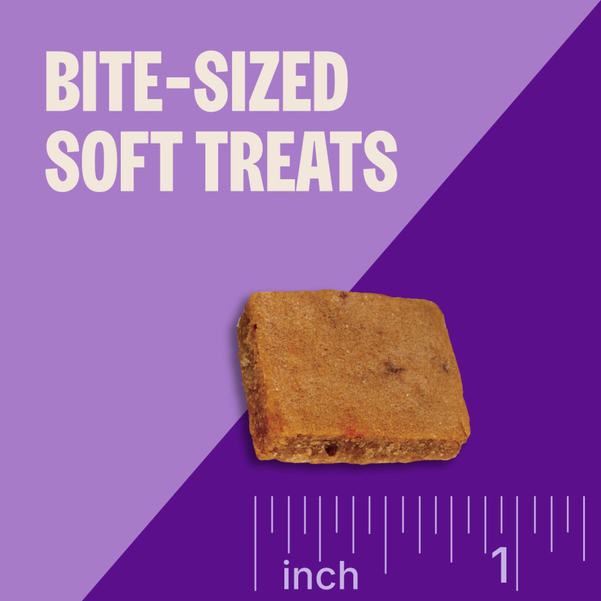 Wellness CORE Brainiac Puppy Soft Training Dog Treats with Beef