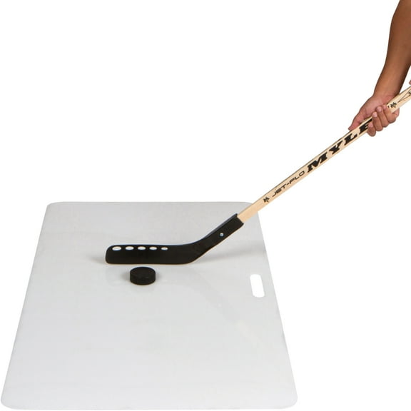 2.5' x 1.5' Ice Hockey Target Shooting Board for Pucks by Trademark Innovations