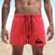 thumbnail image 1 of Pantalones cortos de playa de secado rápido para hombre, bañador deportivo, Bermudas, novedad de verano Fivean unisex, 1 of 2