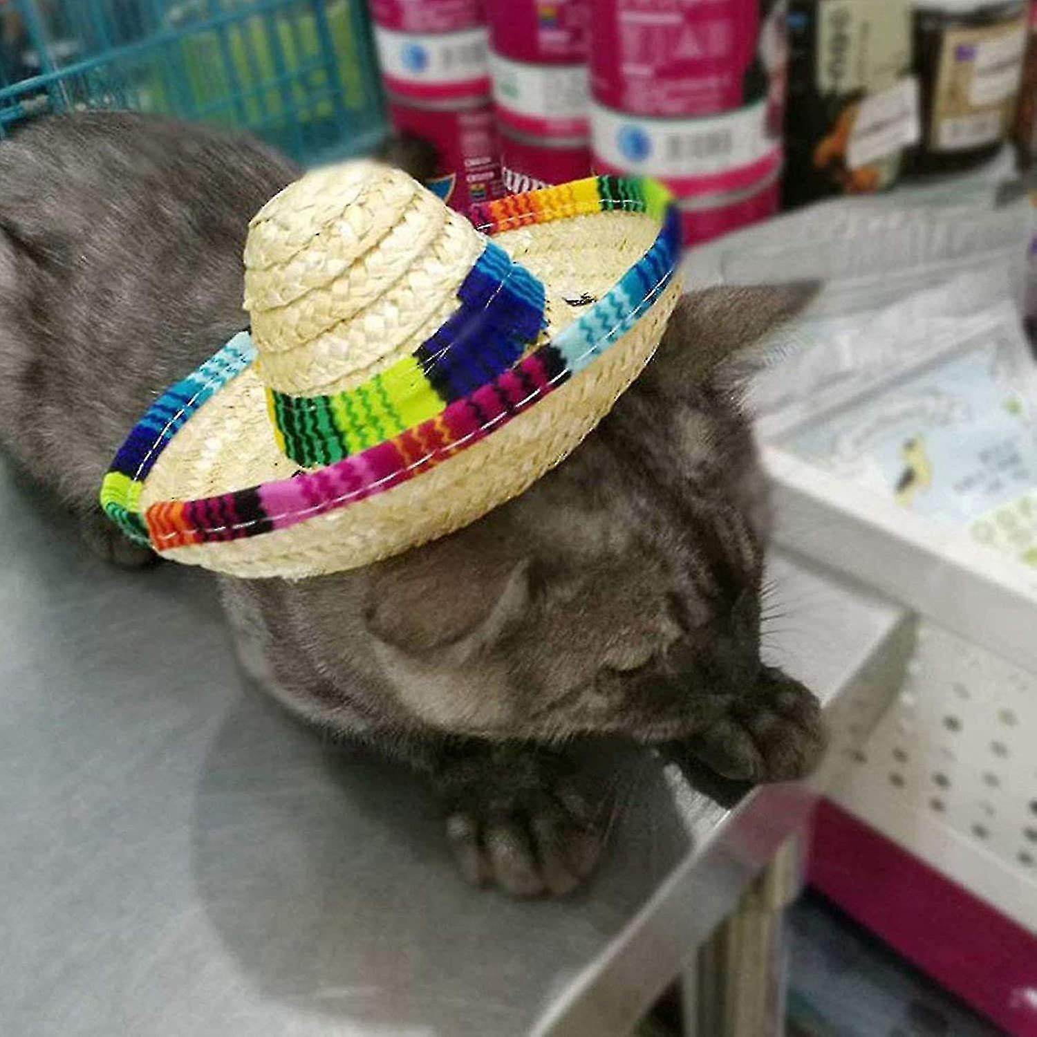 Dog Sombrero Hat Mini Straw Sombrero Hats Mexican Hats Sombrero Party Hats For Small Pets puppy cat Walmart