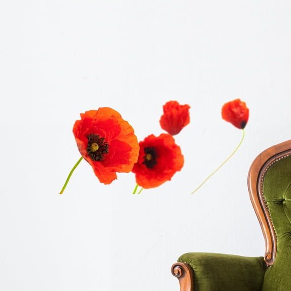 Image Fleurs Coquelicots Isola Wall Decal by Wallmonkeys Peel and Stick Graphic (24 in W x 12 in H) WM98631