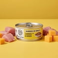 thumbnail image 6 of (2 pack) Special Kitty Turkey & Cheese Wet Cat Food in Gravy, 5.5 oz Can, 6 of 11