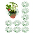 thumbnail image 1 of Minimum Batch Of 100 Pass Count Strawberry Stand, Strawberry Seedling Planting Stand, Sun Flower Stand, Potted Strawberry Artifact, Rotten Fruit Support And, 1 of 8