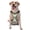 With Accessories, variant on Seahorse Pattern Dog Harness,No Pull Pet Harness with Soft Padded Handle,Adjustable Reflective Vest with 2 Buckles,4 Slide Buckles,S-XL Medium