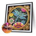 thumbnail image 2 of Cuadros Decorativos Kit de pintura de diamante con forma especial parcial de bricolaje 5D Decoración de libélula Wdftyju de costura negro 4 estilos, 2 of 8
