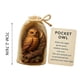 thumbnail image 3 of Tarjeta de regalo navideña de bolsillo, decoración plana acrílica 2D con cuervo como símbolo de sabiduría, resiliencia y amistad (1 unidad) [B] Rkxzt, 3 of 7