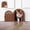 Brown, variant on Purrfect Portal Meow Manor® Cat Door Interior Door - No-Flap, Fits Cats Up to 20 lbs, Easy DIY Setup, No Training Needed