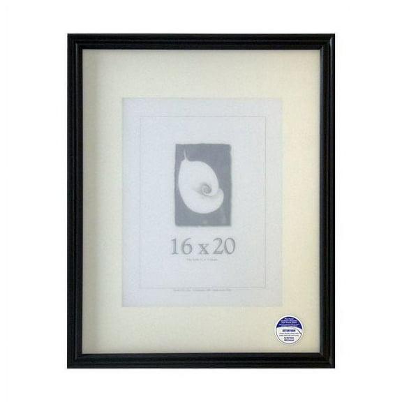 Frame USA Classic Matted Picture Frame 18.5W 3.25H