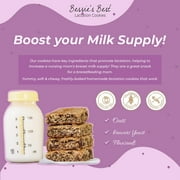Bessie’s Best Lactation Cookies - 1 Dozen - Oatmeal Peanut Butter Chocolate Chip - Lactation Support & Breast Milk Boosting Lactation Snacks