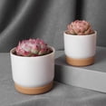 thumbnail image 4 of Farfi Flowerpot Small Lightweight Fashion Succulent Green Plant Pot Double-layer Flowerpot for Home (White,L), 4 of 13