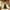 Green, variant on Lilgiuy Christmas Tree Shaped Aromatherapy Candles for Home 4.72×3.14in Xmas Scented Candles Gift, Rotating Christmas Novelty Candle for Party Wedding Christmas Eve, Red