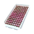 thumbnail image 1 of tredstone Modèle de Grappe de Fleurs Artificielles DIY Miniature pour Décoration Rose, 1 of 9