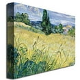 thumbnail image 2 of Trademark Fine Art "Landscape with Green Corn 1889" Canvas Art by Vincent van Gogh, 2 of 2