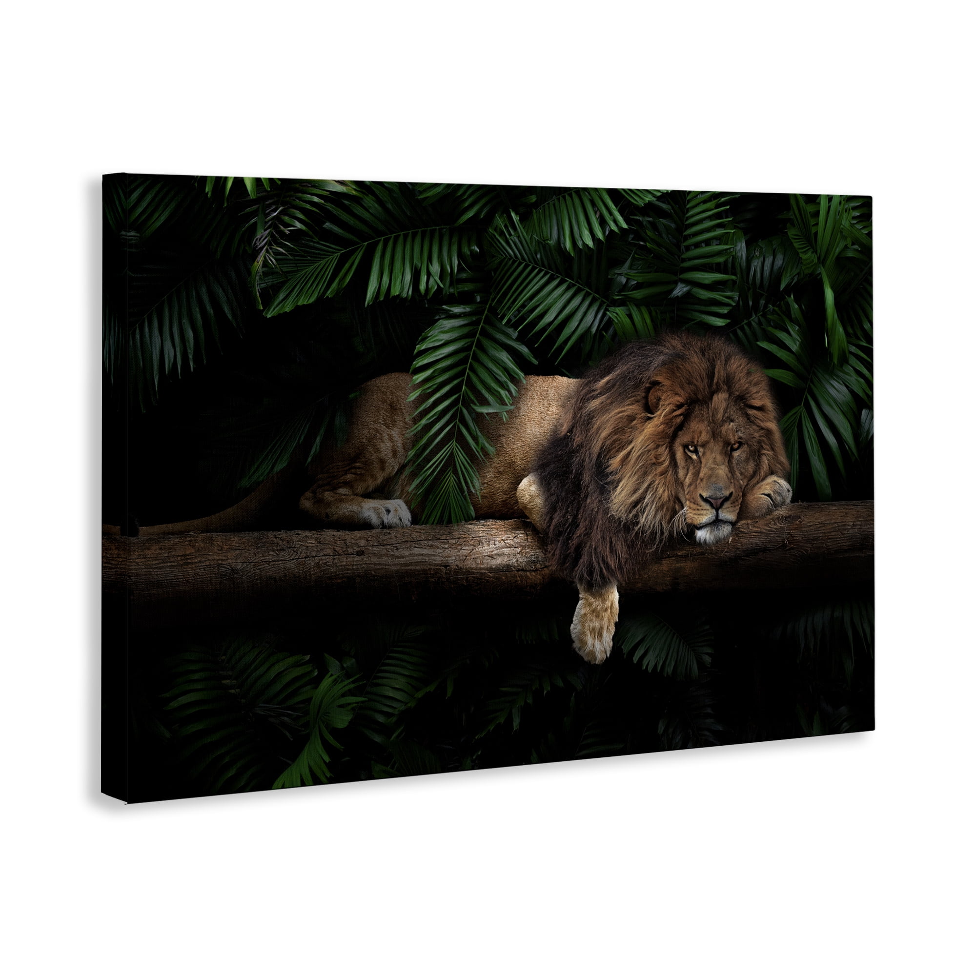 Stupell Industries Lion on Tropical Branch Animals Painting Wrapped Canvas Art Print Wall Art, 30 x 20