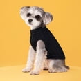 thumbnail image 1 of Ropa para mascotas Otoño e Invierno Moda Color Caramelo Suéter Perro Lindo Mascota Color Sólido, 1 of 6