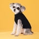 thumbnail image 1 of Suéter clásico con cuello alto acolchado y solapa de lana para mascotas, de color sólido, cálido, para perros y gatos, para otoño e invierno, 1 of 6