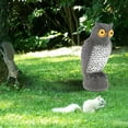 thumbnail image 4 of Realistic Away Owls Statue Bird Deterrent Owl Decoy Fake, 4 of 8