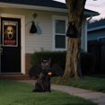 thumbnail image 1 of JJKBVCLO Halloween Metal Cat Double Yard Stake Decoration For Outdoor Garden Party, 1 of 5