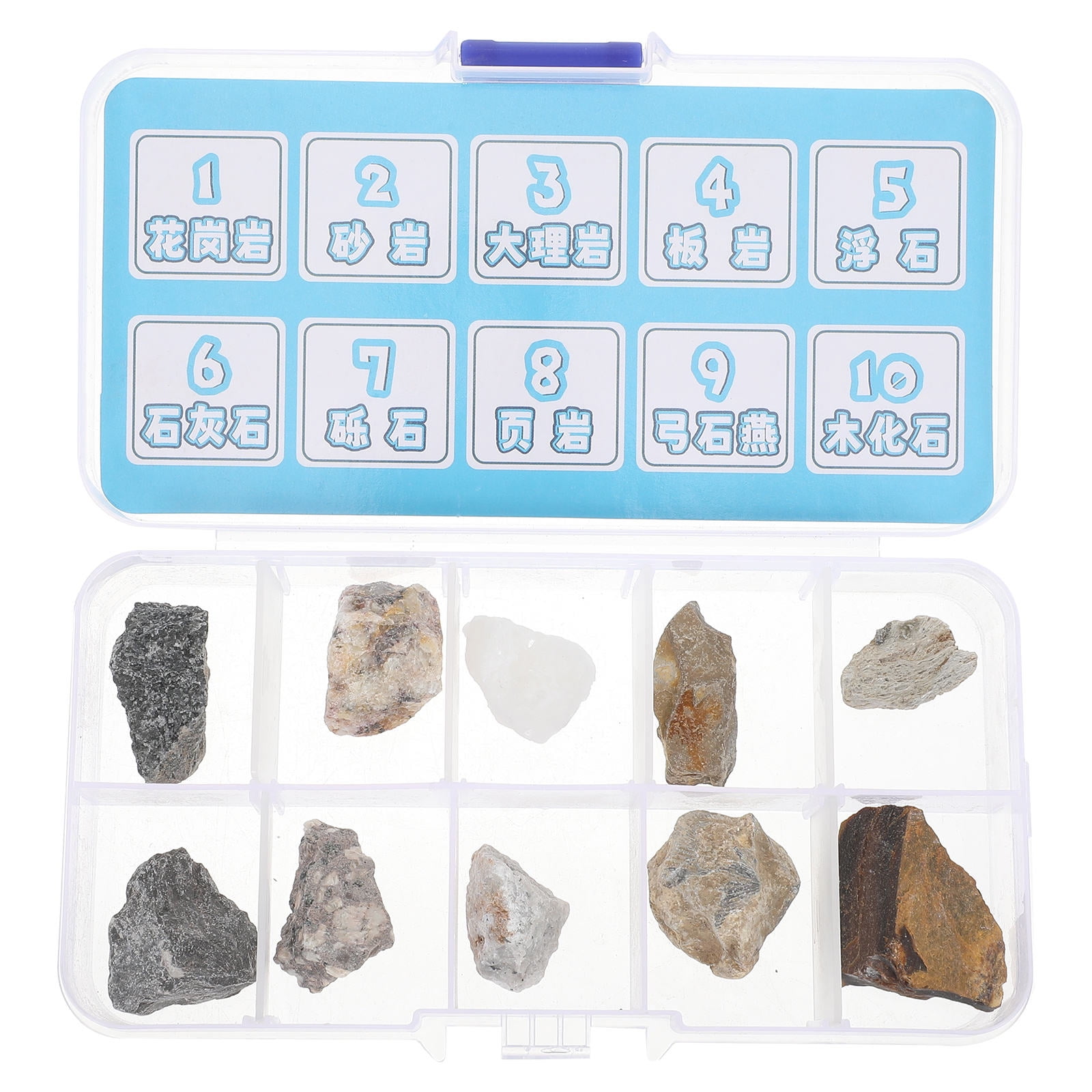 Tineasur Mineral Rock Kit for Classroom Teaching Featuring Irregular Stone Ornaments